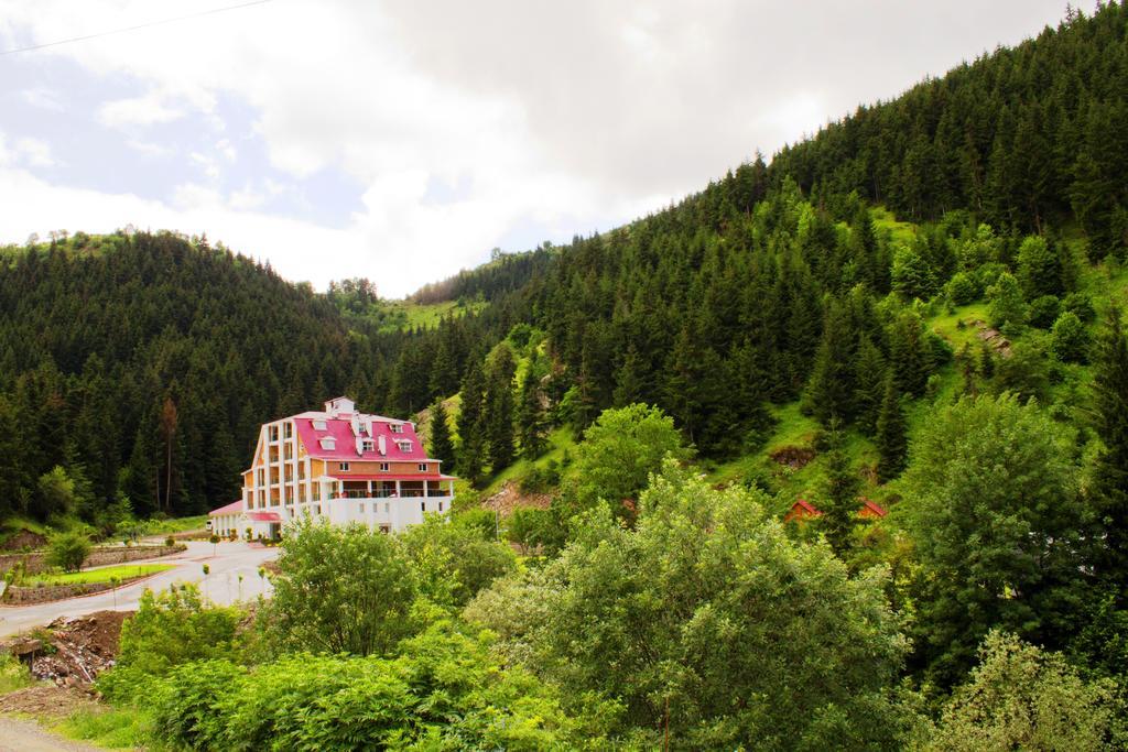 Hotel Green Valley Savsat Exterior photo