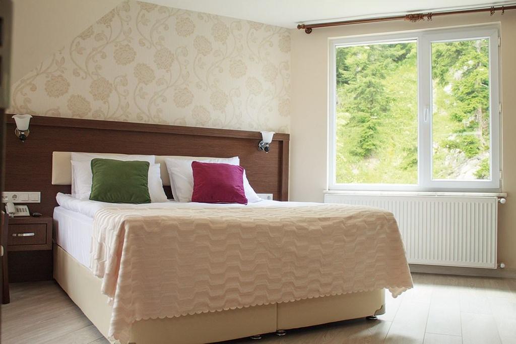 Hotel Green Valley Savsat Room photo